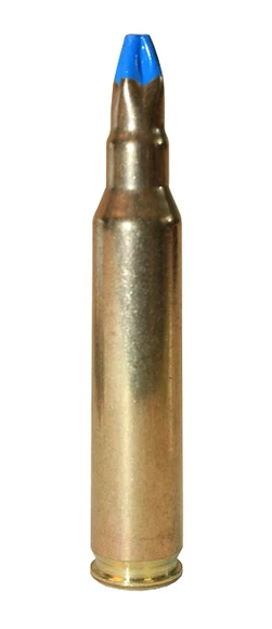 Expansion ammunition 5,56 mm Nato/223 Rem./20 pcs Blank
